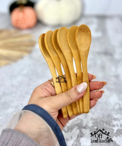 قاشق چوبی ادویه